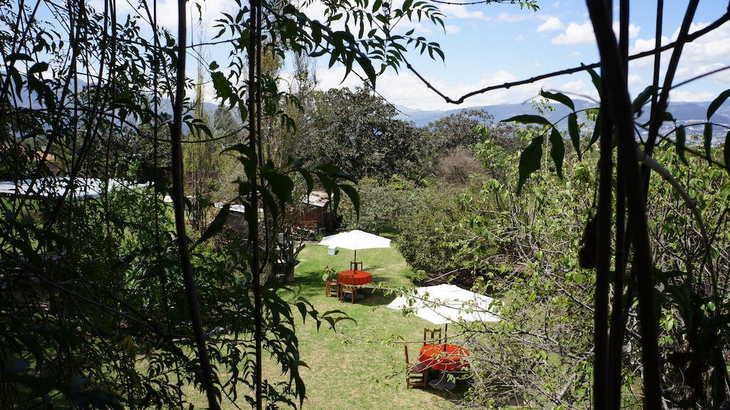 La Casa Del Tilo Bed & Breakfast Hacienda Santa Rosa Exterior photo